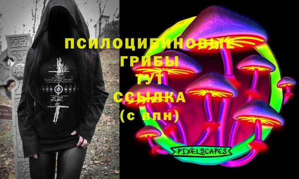 apvp Володарск