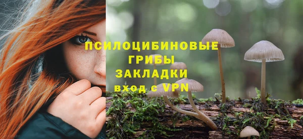 дживик Волоколамск