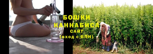 apvp Володарск