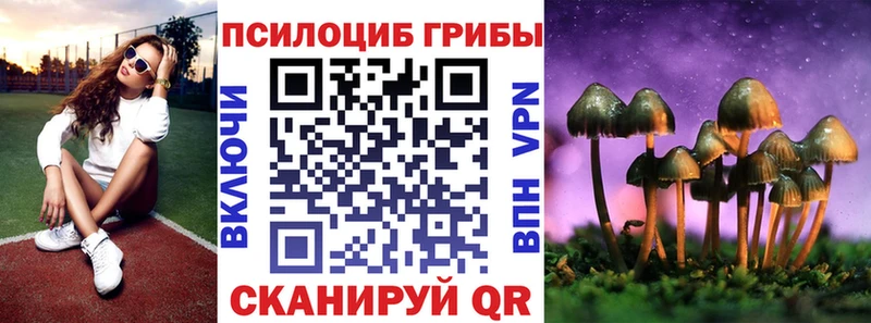цены наркотик  Городец  Псилоцибиновые грибы ЛСД 